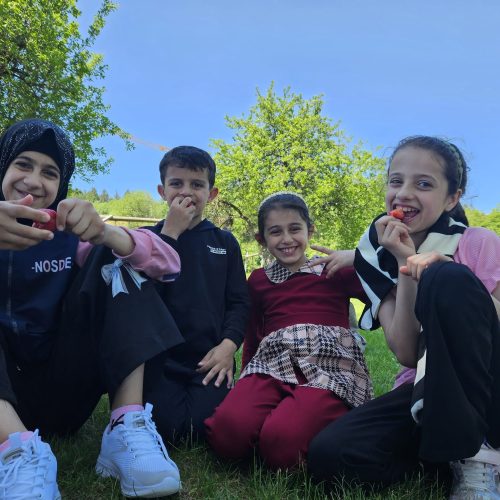 Kurpark St. Englmar - Ausflug und Picknick